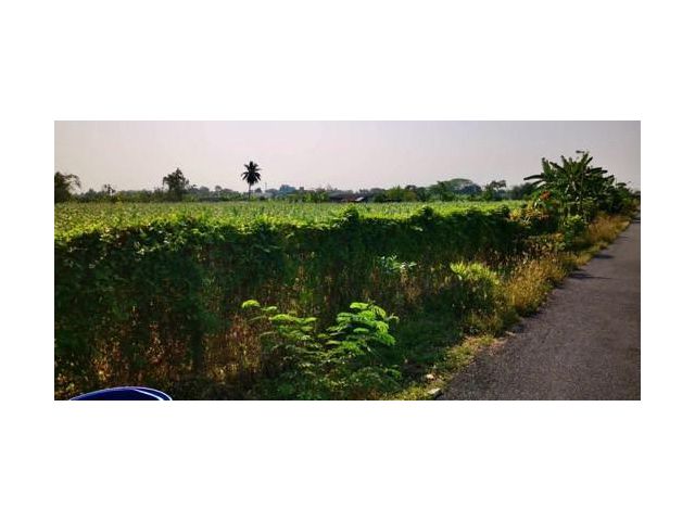 ขายทึ่ดินทำเลสวยย่านชานเมือง 14 ไร่ อ.กระทุ่มแบน จ.สมุทรสาคร
