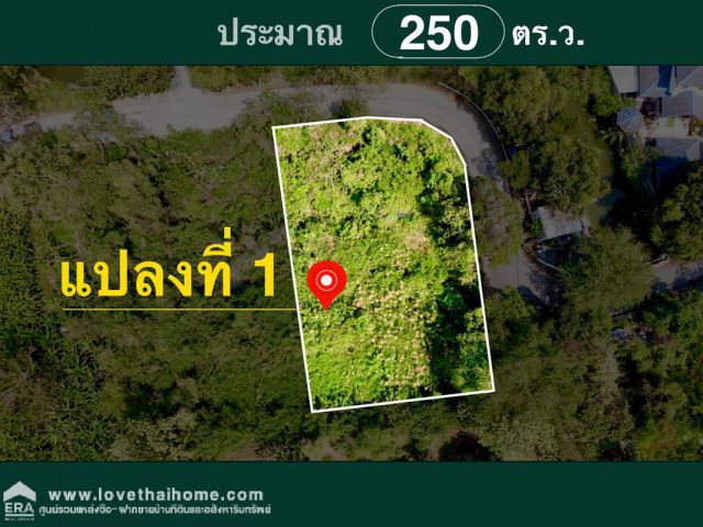 ขายที่ดินทำเลถนนรัตนาธิเบศร์ ใกล้ MRTบางรักใหญ่ ในซอยบางรักใหญ่1 พื้นที่ 250 ตรว. ราคาคุ้มค่าใกล้แหล่งความเจริญ