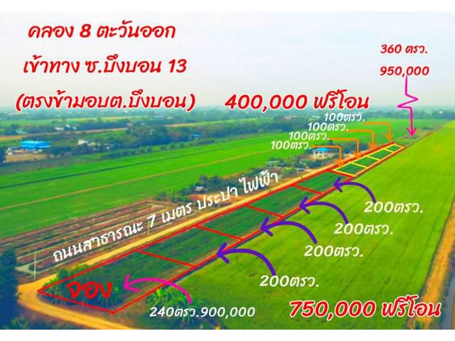 ที่ดิน100 ตรว.คลอง8 ตะวันออก บึงบอน13 หนองเสือ ปทุมธานี