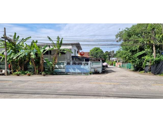 ที่ดินพร้อมบ้านเนื้อที่ 53 ตารางวา รามคำแหง174