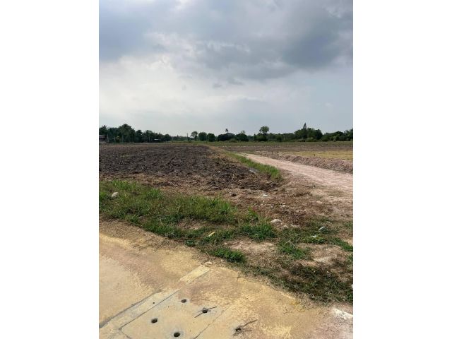 ที่ดินทำเลดีหนองชากบ้านบึง 28ไร่65ตรว.ไร่ละ 2.2 ล้าน ต.หนองชาก อ.บ้านบึง จ.ชลบุรี