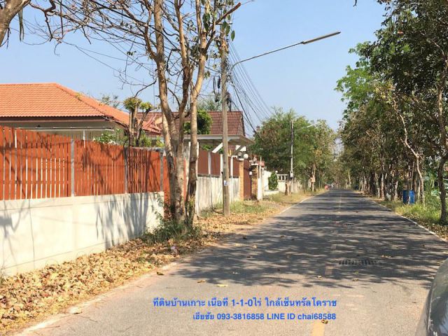 ##ขายที่ดินบ้านเกาะใกล้เซ็นทรัลโคราช เนื้อที่ 1-1-0ไร่ ใกล้ห้างโกลบอลล์เฮ้าส์ในเมืองโคราช หน้ากว้าง 20 เมตร ลึก 73 เมตร ถมแล้ว ##