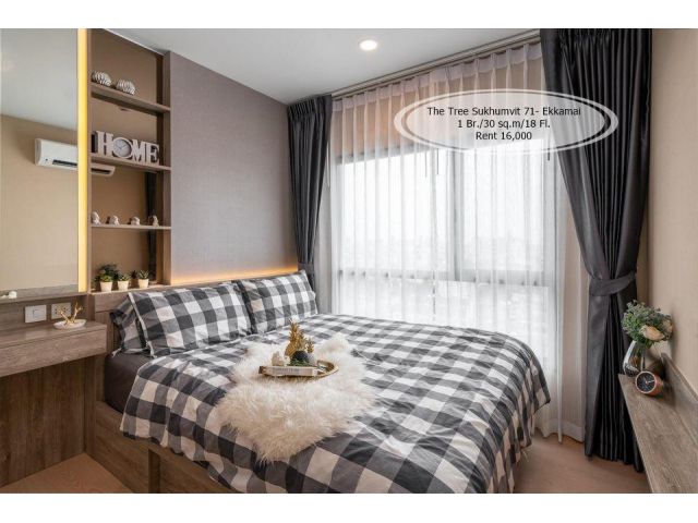 เช่า- The Tree สุขุมวิท 71-เอกมัย /1 ห้องนอน/30 ตรม./ชั้น 18 / เช่า 16,000 ใกล้ APL