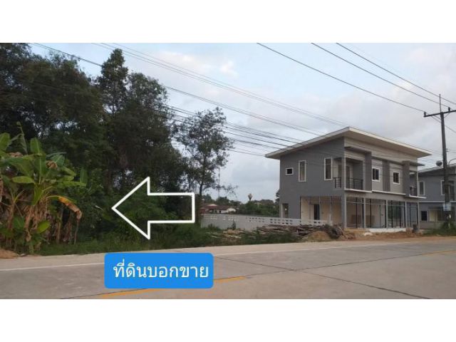 ขายหรือแลกเปลี่ยนที่ดิน 3 ห้อง ติดถนนสายสะพานพร้าว-บ.ทุ่งลาน ห่างจากสะพานพร้าวเพียง 2 กม. เมืองพัทลุง เจ้าของเองครับ
