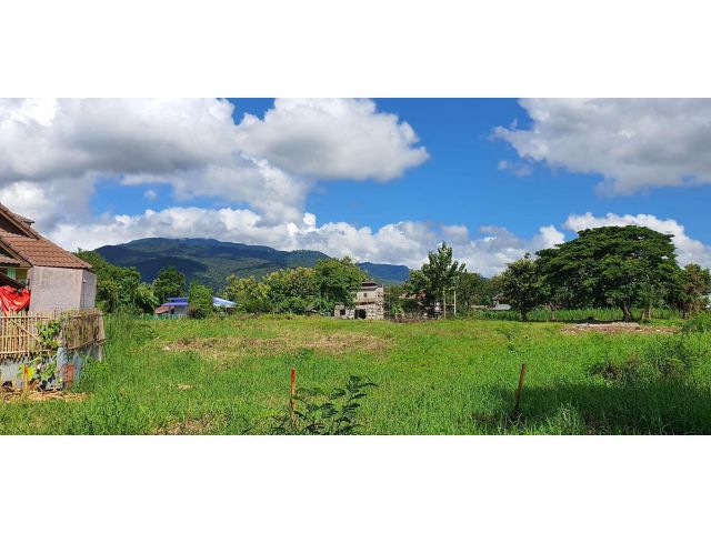 #ขายที่ดินอำเภอเมืองเชียงใหม่ ใกล้ม.เชียงใหม่ เนื้อที่ 4-2-15 ไร่ #ลดด่วนเหลือเพียง วาละ 22,500 (ภายใน7วันนี้เท่านั้น)