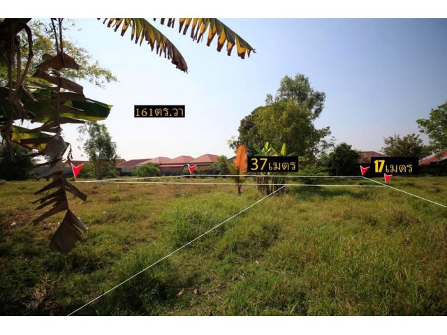 ที่ดิน 161 ตร.ว. พิกัดบ้านนาเมือง  9 แสน