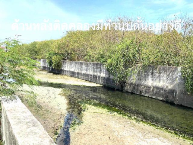 ###ขายที่ดินบ้านสวน เมืองชลบุรี เนื้อที่ 1ไร่ 1งาน (500ตรว.)ติดทางสาธารณะ,ติดคลอง ขนาดที่ดิน 40x65เมตร ใกล้เซ็นทรัลชลบุรี ###
