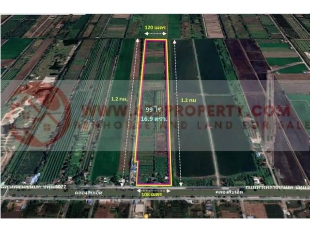ขายที่ดิน 99-0-16.9 ไร่ พื้นที่สีเขียว อ.หนองเสือ จ.ปทุมธานี