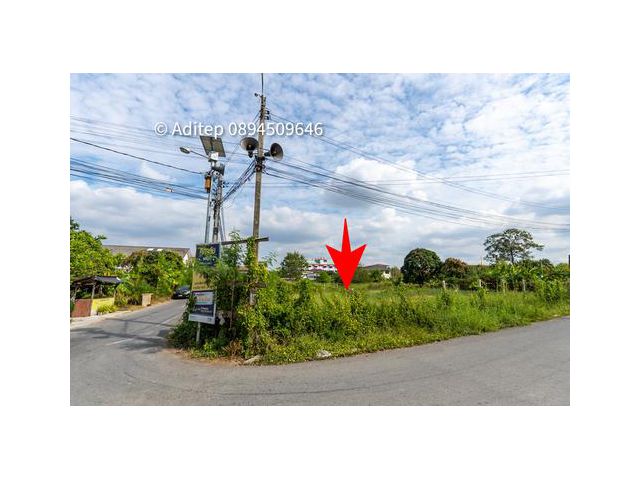 ให้เช่าที่ดิน บางบัวทอง 266 ตรว. ที่ถมแล้ว แปลงมุม