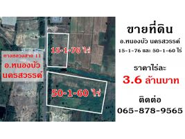 ขายที่ดิน 15 ไร่ & 50 ไร่ (2 แปลง, 2 โฉนด) ติดทางหลวงสาย 11 อ.หนองบัว นครสวรรค์