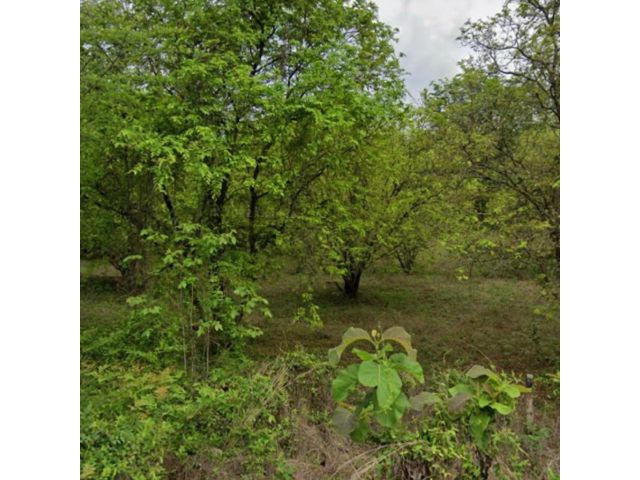 ขายที่ดินแปลงสวย ต.นายาง อ.สบปราบ จ.ลำปาง