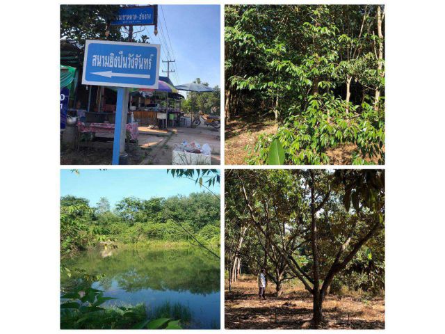 ระยอง 20-0-0 ที่สวนผลไม้ มีทุเรียน 150ต.,ยางพารา 100ต.