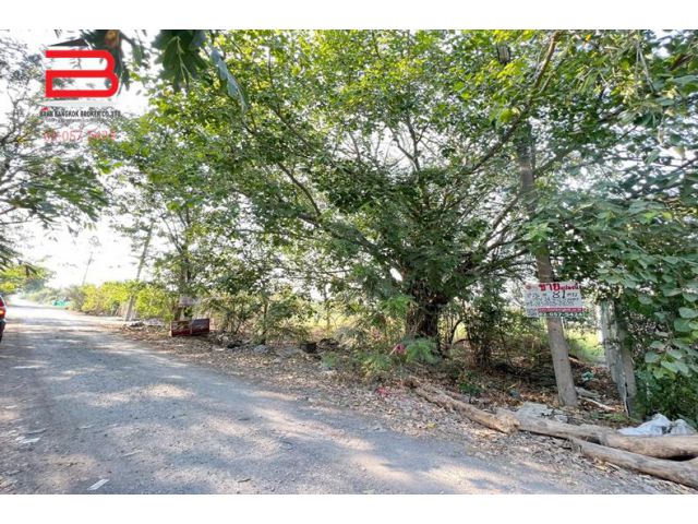 ที่ดินเปล่า ซอยบึงบอน 14 เลียบคลอง 9 เนื้อที่ 81 ตรว. ถนนรังสิต-นครนายก อ.หนองเสือ จ.ปทุมธานี