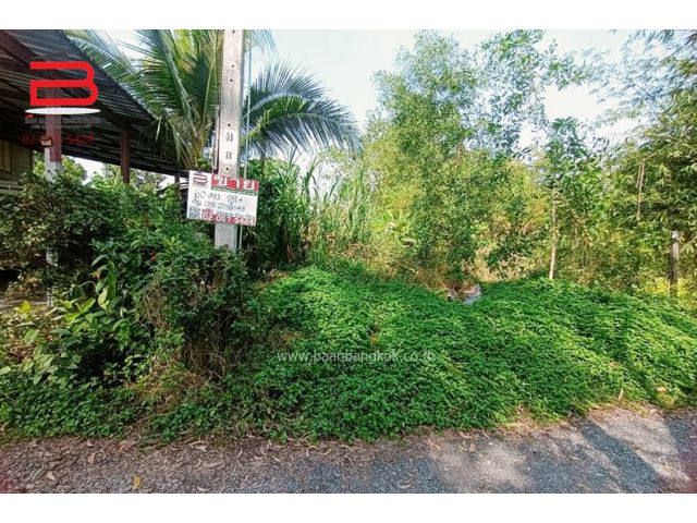 ที่ดินเปล่า ถมแล้ว ซอยประชาสำราญ 3 เนื้อที่ 60 ตรว. เขตหนองจอก