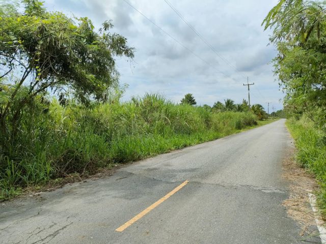 พิกัด บ้านหนองวง  ต.หนองอิรุณ  อ.บ้านบึง. ชลบุรีขายที่ดินเนื้อที่ 7ไร่ หน้าติดถนนกว้าง 73เมตร ลึก158 เมตรด้านข้างติดห้วย