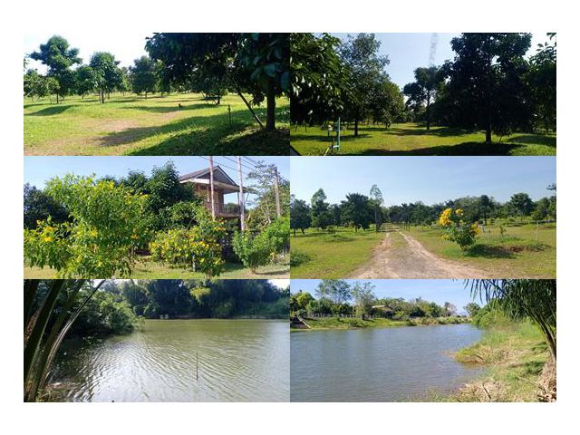 !!!ที่ดินติดแม่น้ำจันทบุรี ทำเลทองโซนตัวเมืองจันทบุรี!!! เสนอขายที่ดินสวนผลไม้ เหมาะสำหรับทำกิจการโรงแรม&คอนโดริมแม่น้ำ