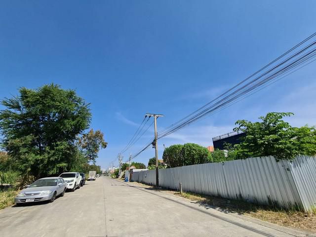 ขายที่ดิน ลาซาล 118วา สวย มุม ใกล้รถไฟฟ้า2สาย