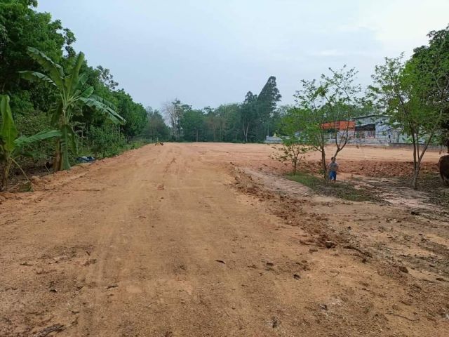 ที่ดินแบ่งขายหนองยาว 130 ตรว. ใกล้ถนนเส้น 3002 - 300 เมตร พนมสารคาม ฉะเชิงเทรา