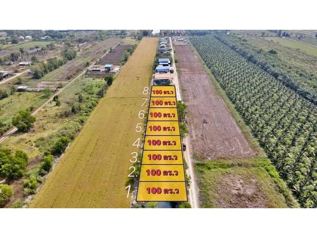 ที่ดิน 100 ตร.วา คลอง 8 ซอยภุชงค์ หนองเสือ ปทุมธานี