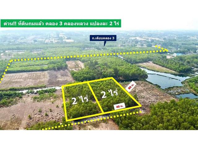 ที่ดินถมแล้ว คลอง 3 อยู่ในโครงการคันทรี่การ์เด้นคลอง3