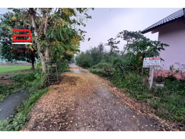 ที่ดินจัดสรรถมแล้ว ม.สวนเกษตรไผ่ขวาง เนื้อที่ 300 ตรว.อ.เมือง จ.สุพรรณบุรี