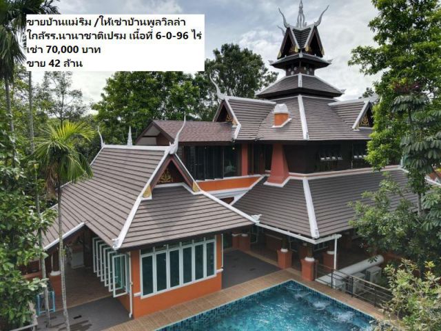 ขายบ้านแม่ริม /ให้เช่าบ้านพูลวิลล่า ใกล้รร.นานาชาติเปรม เนื้อที่ ุ6-0-96 ไร่
