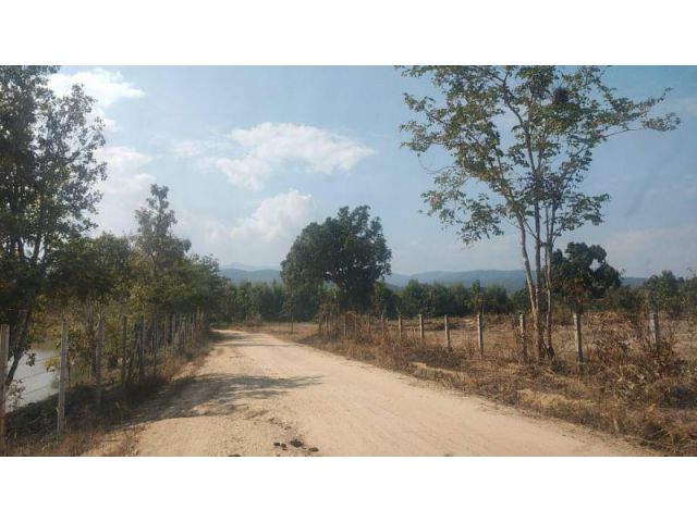 #ขายที่ดินแม่แตง วิวดอย วิวภูเขา เนื้อที่ 8-1-71 ไร่ ราคา 4.5 ล้าน