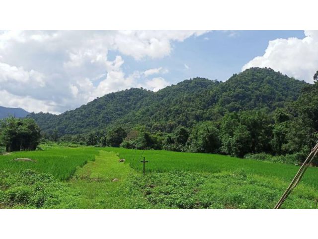 #ขายที่ดินแม่แตง แก่งกึ้ด ติดน้ำ ติดเขา เนื้อที่ 55 ไร่ ไร่ละ 750,000