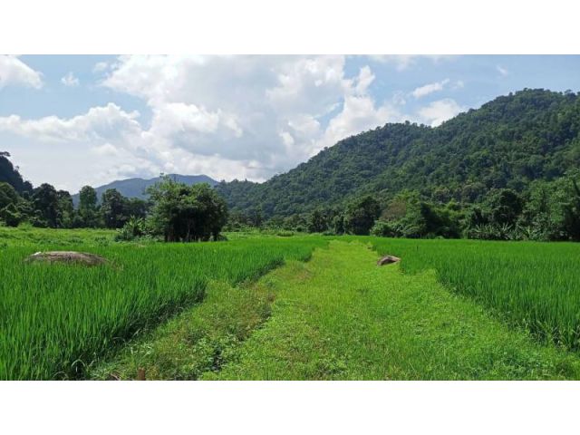 #ขายที่ดินแม่แตง ติดลำห้วย โซนแก่งกึ้ด เนื้อที่ 57 ไร่ ไร่ละ 750,000 ( 42,750,000บ.)