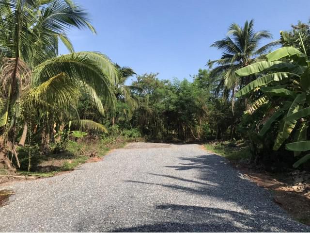 S2303 ขายที่ดิน 6 ไร่กว่า พุทธมณฑลสาย 7 ตำบลหอมเกร็ด อำเภอสามพราน นครปฐม ใกล้วัดหอมเกร็ด S2303