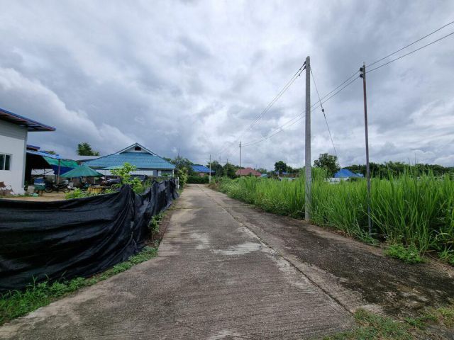 #ขายที่ดินแม่แตง ทางเข้าวัดร่ำเปิง อ.แม่แตง มี 3 แปลงติดกัน แปลงละ 350,000บ.