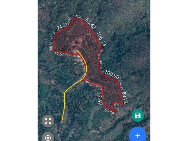 #ขายที่ดินแม่แตง สำหรับคนหาที่ทำการเกษตร #เอกสารจากกรมป่าไม้ เนื้อที่ 70 ไร่ ยกแปลง 5.5 ล้าน