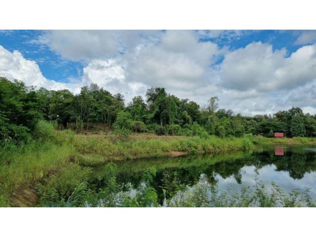 #ขายที่ดินแม่แตง ใกล้ถนนหลวง(1095)เส้นขึ้นปาย ติดอ่างเก็บน้ำแม่ขิ #ใกล้นิคมสหกรณ์แม่แตง เนื้อที่ 5-3-48 ไร่ ราคา 8,703,6