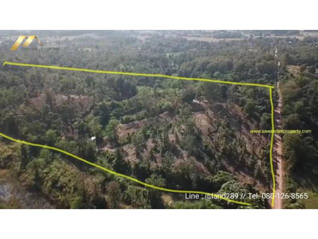 #ขายที่ดินแม่แตง ที่เนินเขา ใกล้ถนนใหญ่(1095) เนื้อที่ 25-1-83 ไร่ ไร่ละ 648,000 (16,496,460บ.)