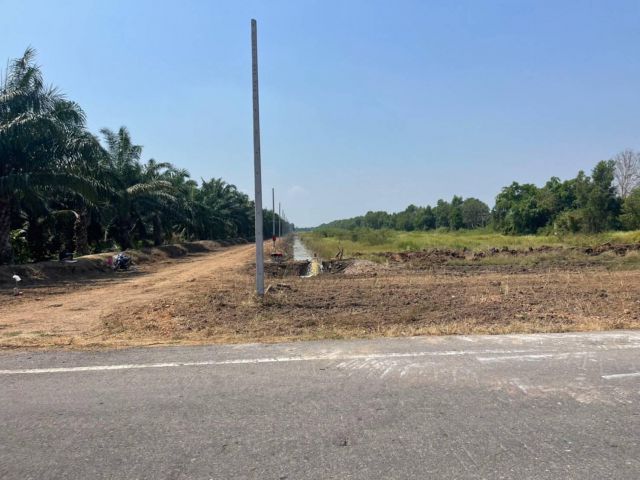 ขายที่ดินนพรัตน์ 4.5 ไร่ คลอง 12 ราคาถูกๆ ถมแล้ว ติดรางน้ำ เหมาะปลูกบ้านสวนเกษตร อ.หนองเสือ จ.ปทุมธานี