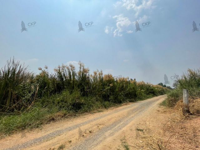 ขาย ที่ดินเปล่า 200 ตร.ว. เหมาะสำหรับสร้างที่อยู่อาศัย ต.คลองห้า