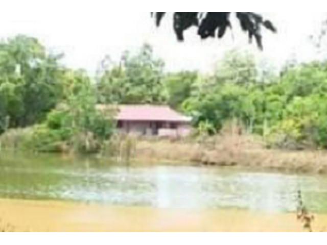 ขายบ้านเดี่ยว พื้นที่กว้าง  ราชสาส์น ฉะเชิงเทรา