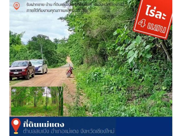 ขายที่ดินแม่แตง ที่สวน ติดถนนลูกรัง เนื้อที่ 20 ไร่ ไร่ละ 400,000 ต.สบเปิง อ.แม่แตง จ.เชียงใหม่