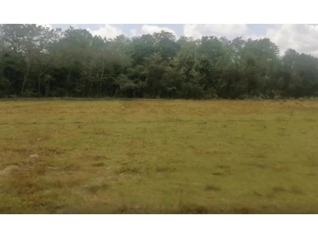 #ขายที่ดินแม่แตง ต.สันป่ายาง อ.แม่แตง จ.เชียงใหม่ เนื้อที่ 2-0-70 ไร่ ไร่ละ 380,000