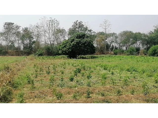 ขายที่ดินแม่แตง #ขายที่ดินติดแม่น้ำปิง เนื้อที่ 4-2-93 ไร่ ยกแปลง 4,900,000