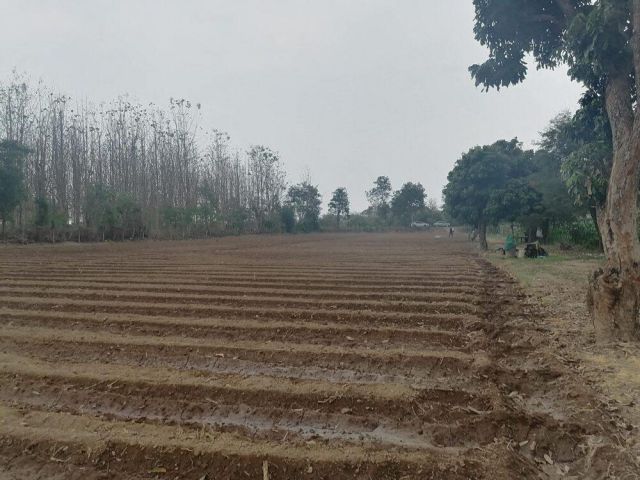 ขายที่ดินแม่แตง #ขายที่ดินติดแม่น้ำปิง เนื้อที่ 5-3-31 ไร่ ไร่ละ 850,000