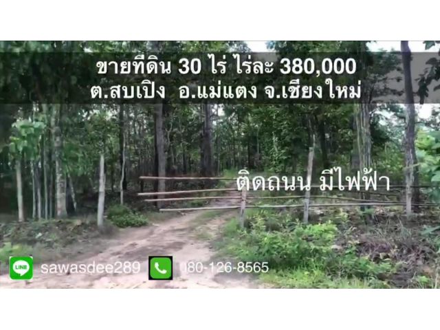 ขายที่ดินแม่แตง ติดถนน มีไฟฟ้า เนื้อที่ 30 ไร่ ไร่ละ 380,000 ( 11,400,000 ) บ.