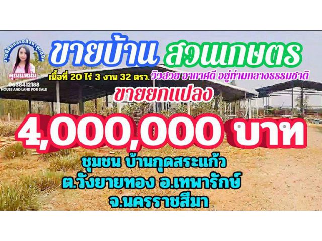 ขายบ้านสวนเกษตร ราคาถูกมากๆ เนื้อที่ 20 ไร่ 3 งาน 32 ตรว.วิวธรรมชาติสวยงาม ติดถนนสาธารณประโยชน์มีน้ำ มีไฟฟ้า ดินดี น้ำดี