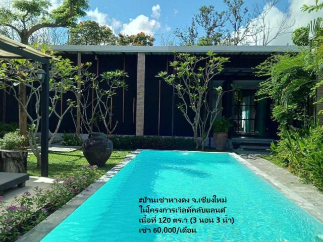 บ้านเช่าหางดง ในโครงการเวิลดิ์คลับแลนด์ เนื้อที่ 120 ตร.ว พร้อมสระส่วนตัว เช่า 60,000/เดือน