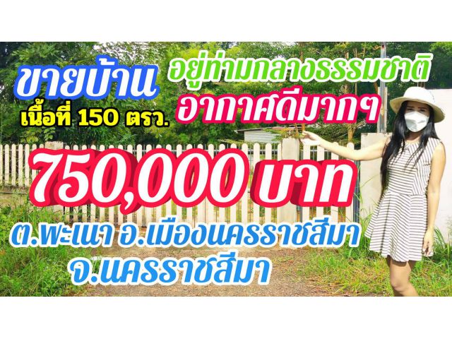 ขายบ้านพร้อมที่ดิน อำเภอเมืองนครราชสีมา ราคาถูกมากๆ เนื้อที่ 150 ตรว. มีน้ำ มีไฟฟ้า ล้อมรั้วแล้ว อยู่ในชุมชน ราคาสุดคุ้ม
