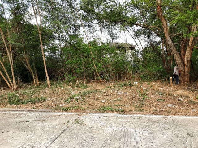 ขายที่ดินเปล่าย่านรังสิต - นครนายก