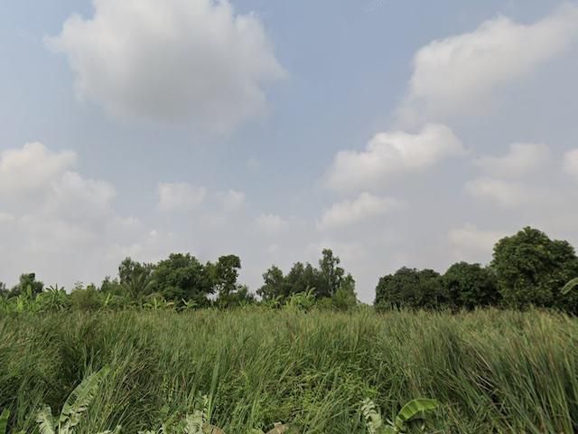 ขาย ที่ดินเปล่า เหมาะสำหรับใช้อยู่อาศัย 1 ไร่ แขวงสามวาตะวันออก