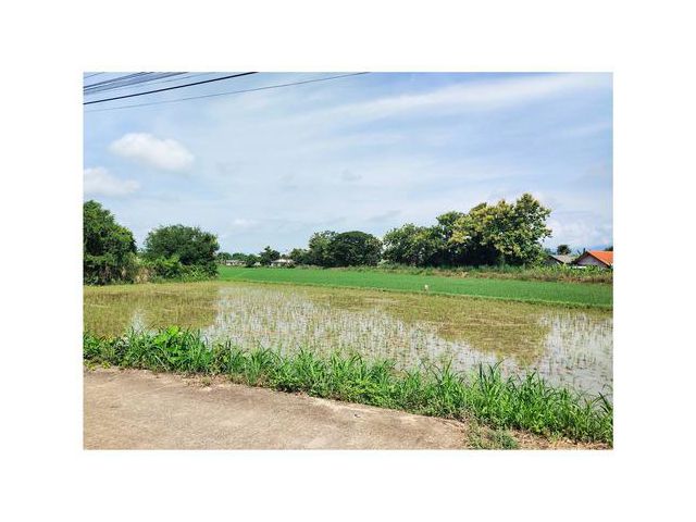 ขายที่ดินเหมาะทำหมู่บ้านจัดสรร 13-2-50 ไร่  ติดถนน 2 ด้าน จ.เชียง
