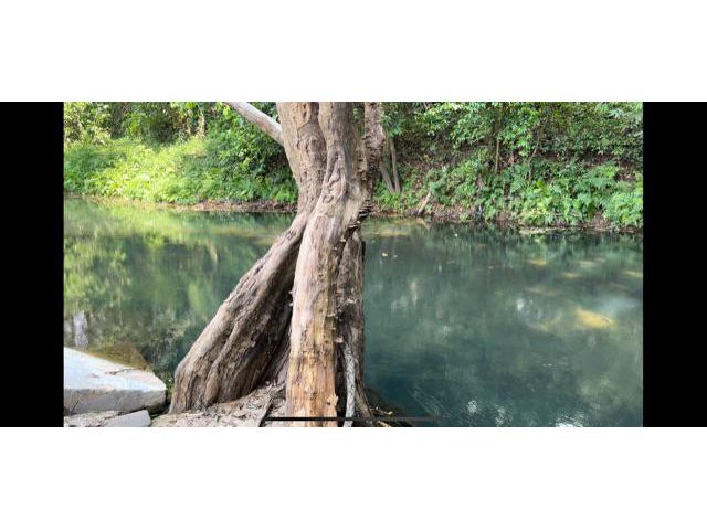 ที่ดินติดลำตะคอง เขาใหญ่ 3ไร่ พร้อมวิวภูเขา ติดลำตะคองกว้าง ใกล้ธนะรัชต์