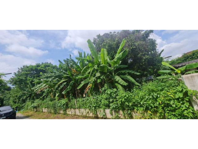 #ขายที่ดินอำเภอเมืองเชียงใหม่ เนื้อที่ 94 ตร.ว. ขายเพียง 2.9 ล้าน (ฟรีโอน)